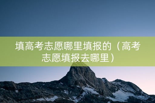 填高考志愿哪里填报的（高考志愿填报去哪里）