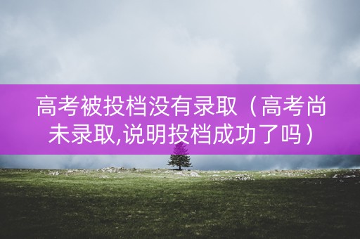 高考被投档没有录取（高考尚未录取,说明投档成功了吗）
