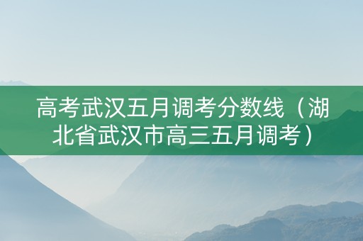 高考武汉五月调考分数线（湖北省武汉市高三五月调考）