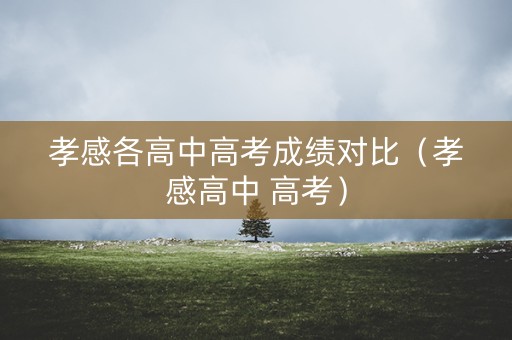 孝感各高中高考成绩对比（孝感高中 高考）