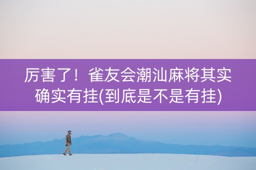 厉害了！雀友会潮汕麻将其实确实有挂(到底是不是有挂)