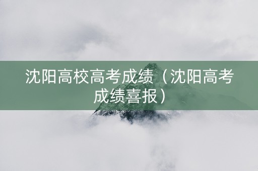 沈阳高校高考成绩（沈阳高考成绩喜报）