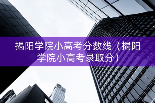 揭阳学院小高考分数线（揭阳学院小高考录取分）