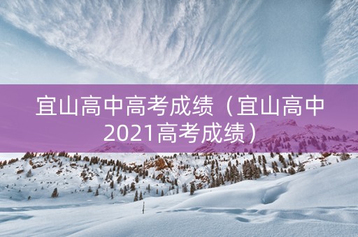 宜山高中高考成绩（宜山高中2021高考成绩）