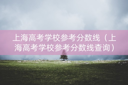 上海高考学校参考分数线（上海高考学校参考分数线查询）