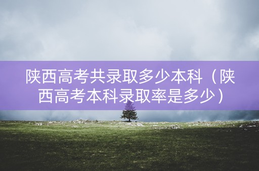 陕西高考共录取多少本科（陕西高考本科录取率是多少）