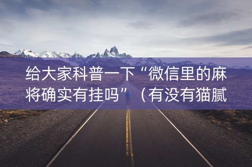 给大家科普一下“微信里的麻将确实有挂吗”（有没有猫腻)
