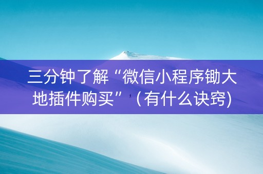 三分钟了解“微信小程序锄大地插件购买”（有什么诀窍)