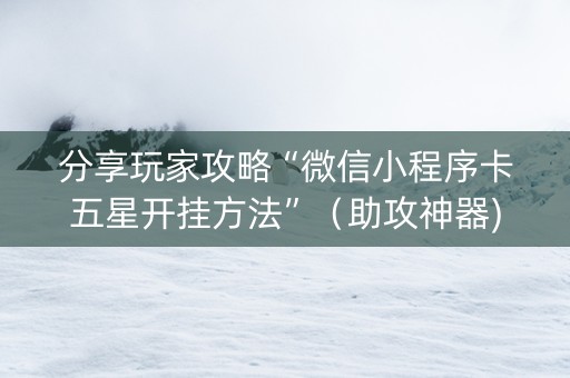 分享玩家攻略“微信小程序卡五星开挂方法”（助攻神器)