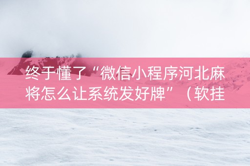 终于懂了“微信小程序河北麻将怎么让系统发好牌”（软挂神器)