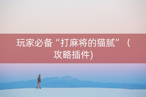 玩家必备“打麻将的猫腻”（攻略插件)