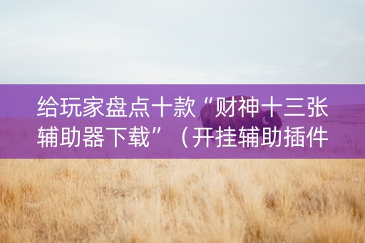 给玩家盘点十款“财神十三张辅助器下载”（开挂辅助插件)
