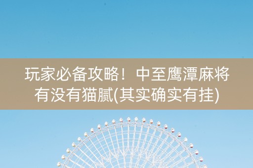玩家必备攻略！中至鹰潭麻将有没有猫腻(其实确实有挂)
