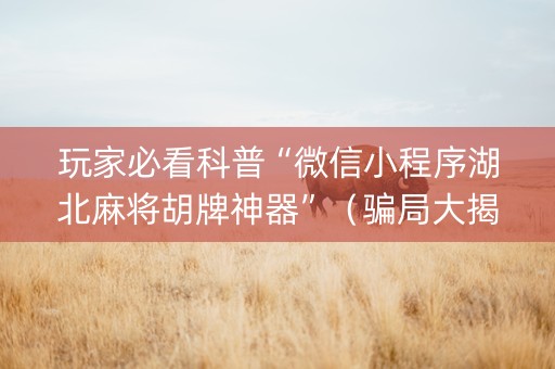 玩家必看科普“微信小程序湖北麻将胡牌神器”（骗局大揭秘)