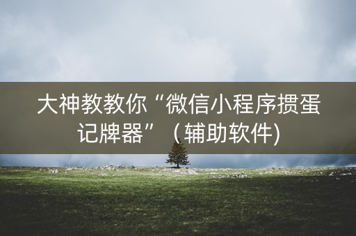 大神教教你“微信小程序掼蛋记牌器”（辅助软件)