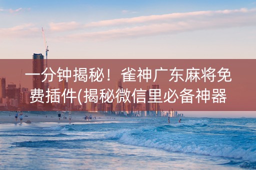 一分钟揭秘！雀神广东麻将免费插件(揭秘微信里必备神器)