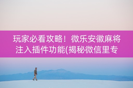 玩家必看攻略！微乐安徽麻将注入插件功能(揭秘微信里专用神器)