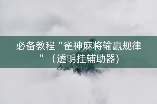 必备教程“雀神麻将输赢规律”（透明挂辅助器)