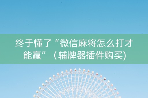 终于懂了“微信麻将怎么打才能赢”（辅牌器插件购买)