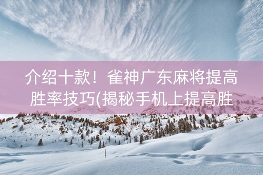 介绍十款！雀神广东麻将提高胜率技巧(揭秘手机上提高胜率)