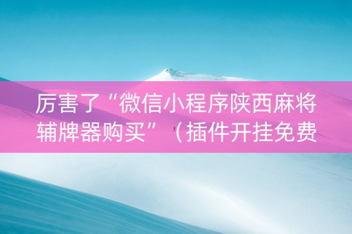 厉害了“微信小程序陕西麻将辅牌器购买”（插件开挂免费AI)