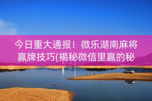 今日重大通报！微乐湖南麻将赢牌技巧(揭秘微信里赢的秘诀)