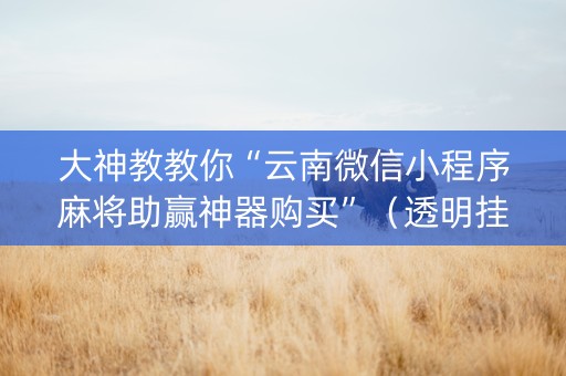 大神教教你“云南微信小程序麻将助赢神器购买”（透明挂辅助器)