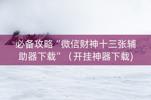必备攻略“微信财神十三张辅助器下载”（开挂神器下载)