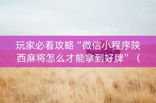玩家必看攻略“微信小程序陕西麻将怎么才能拿到好牌”（必赢神器)