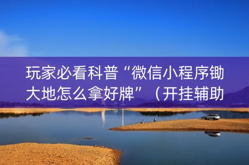 玩家必看科普“微信小程序锄大地怎么拿好牌”（开挂辅助插件)