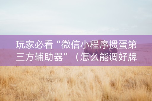 玩家必看“微信小程序掼蛋第三方辅助器”（怎么能调好牌)