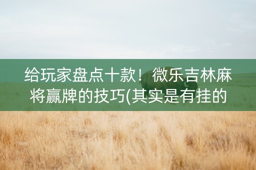 给玩家盘点十款！微乐吉林麻将赢牌的技巧(其实是有挂的)