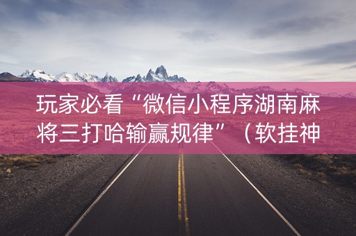 玩家必看“微信小程序湖南麻将三打哈输赢规律”（软挂神器)