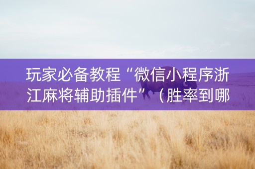 玩家必备教程“微信小程序浙江麻将辅助插件”（胜率到哪调)