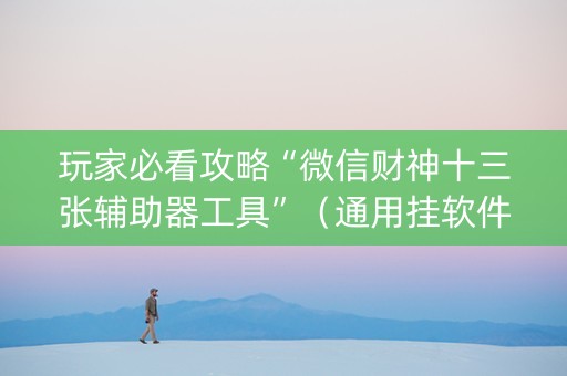 玩家必看攻略“微信财神十三张辅助器工具”（通用挂软件多少钱)