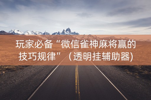 玩家必备“微信雀神麻将赢的技巧规律”（透明挂辅助器)