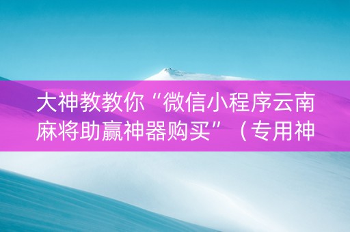 大神教教你“微信小程序云南麻将助赢神器购买”（专用神器下载)