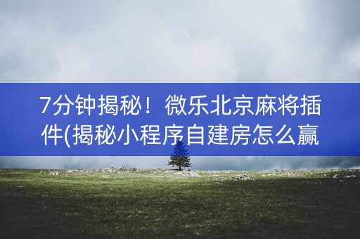 7分钟揭秘！微乐北京麻将插件(揭秘小程序自建房怎么赢)