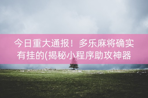 今日重大通报！多乐麻将确实有挂的(揭秘小程序助攻神器)