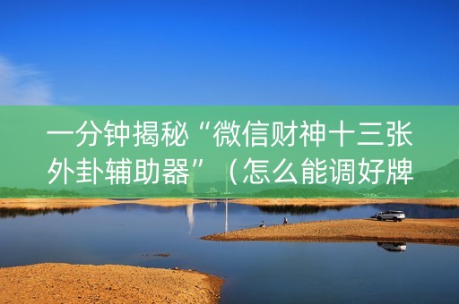 一分钟揭秘“微信财神十三张外卦辅助器”（怎么能调好牌)