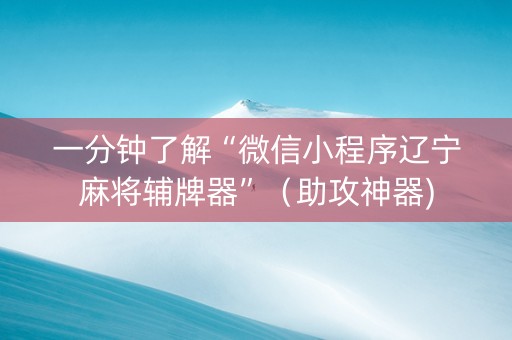 一分钟了解“微信小程序辽宁麻将辅牌器”（助攻神器)