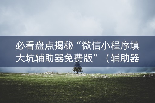 必看盘点揭秘“微信小程序填大坑辅助器免费版”（辅助器通用版)