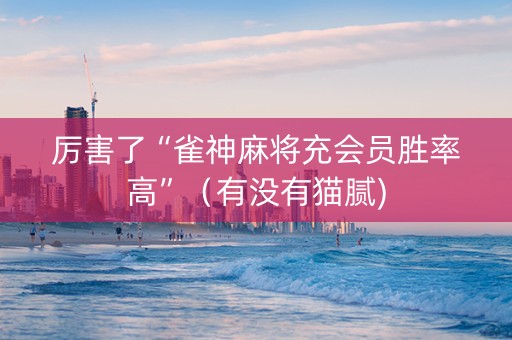 厉害了“雀神麻将充会员胜率高”（有没有猫腻)