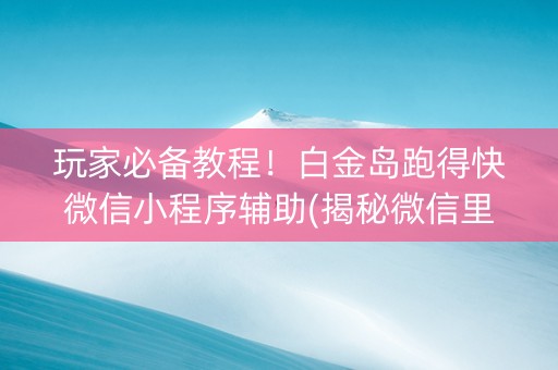 玩家必备教程！白金岛跑得快微信小程序辅助(揭秘微信里提高胜率)