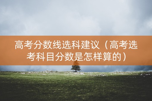 高考分数线选科建议（高考选考科目分数是怎样算的）