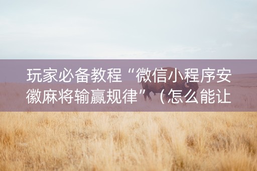 玩家必备教程“微信小程序安徽麻将输赢规律”（怎么能让牌好一点)