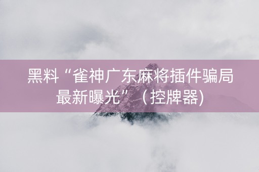 黑料“雀神广东麻将插件骗局最新曝光”（控牌器)
