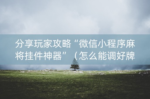 分享玩家攻略“微信小程序麻将挂件神器”（怎么能调好牌)