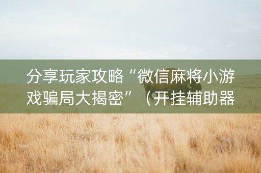 分享玩家攻略“微信麻将小游戏骗局大揭密”（开挂辅助器插件)