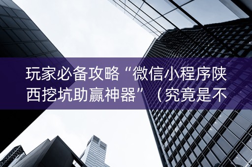 玩家必备攻略“微信小程序陕西挖坑助赢神器”（究竟是不是有挂)